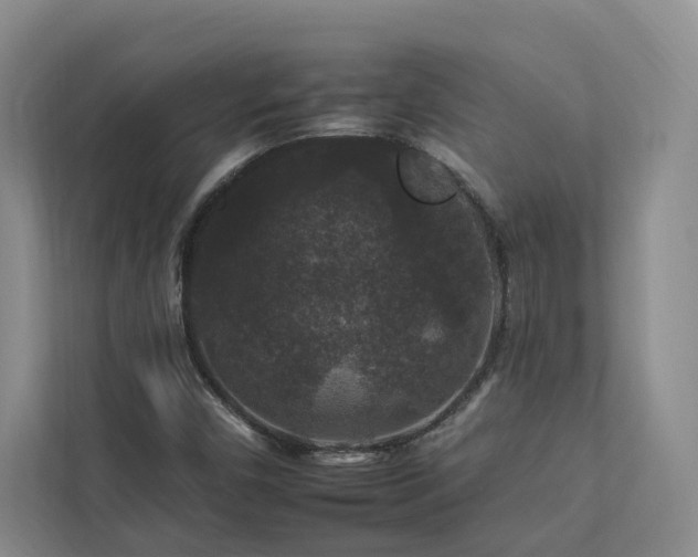 X0000112931450200908241250