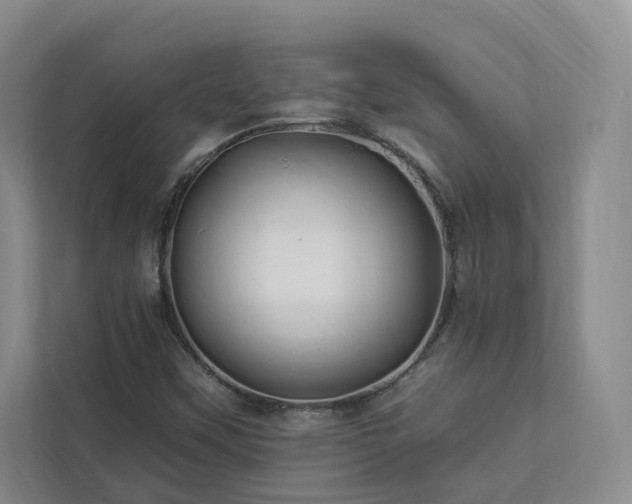 X0000112931451200908241250