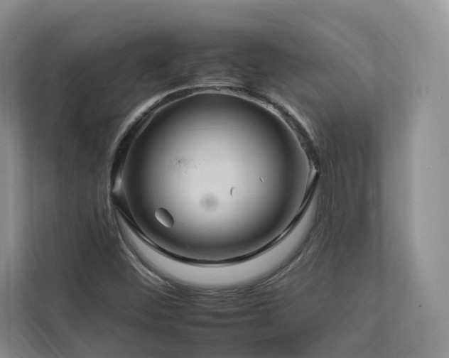 X0000112931452200908241250
