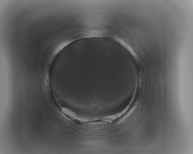 X0000112931453200908241250