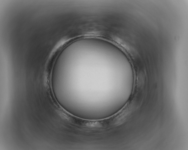 X0000112931454200908241250