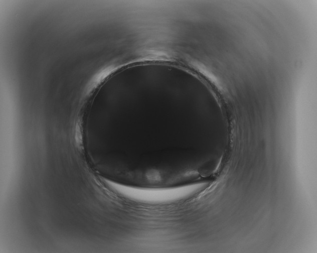 X0000112931455200908241250