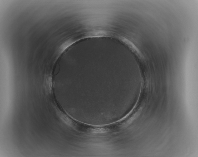 X0000112931457200908241250