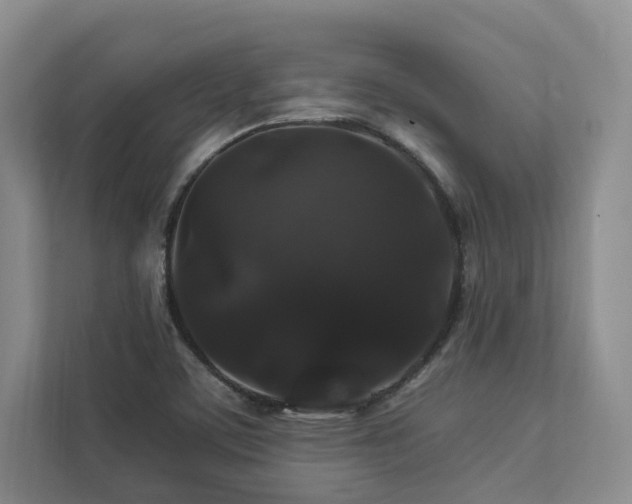 X0000112931459200908241250