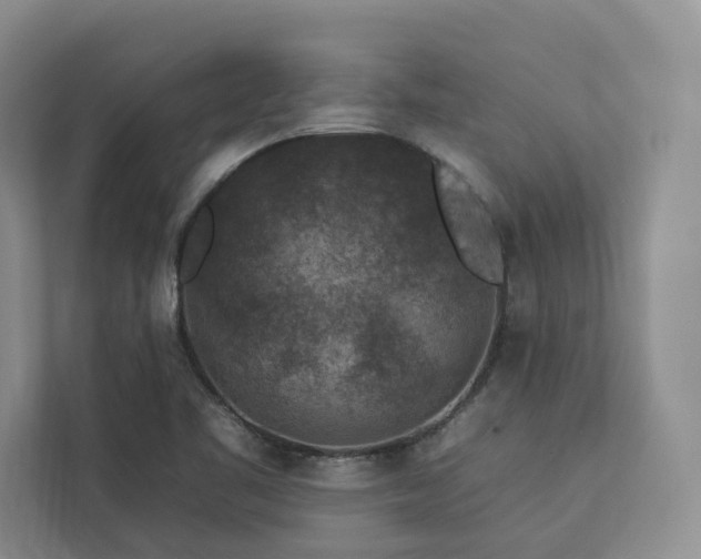 X0000112931461200908241250