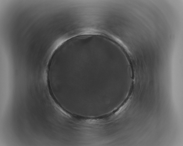 X0000112931463200908241250