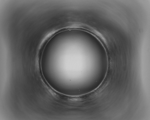 X0000112931464200908241250
