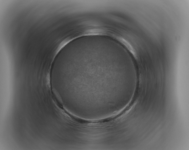 X0000112931465200908241250