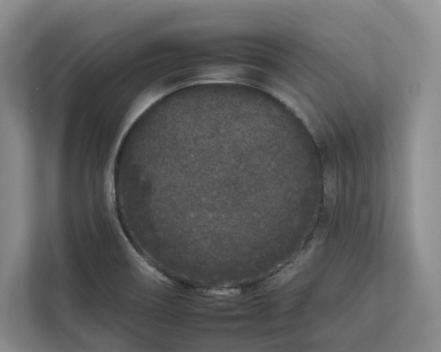 X0000112931466200908241250