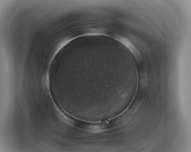 X0000112931468200908241250
