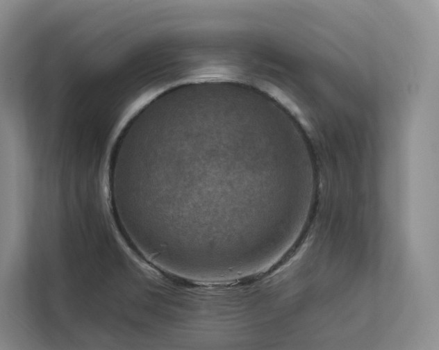 X0000112931469200908241250