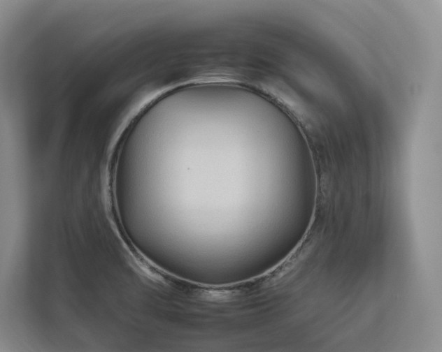 X0000112931470200908241250