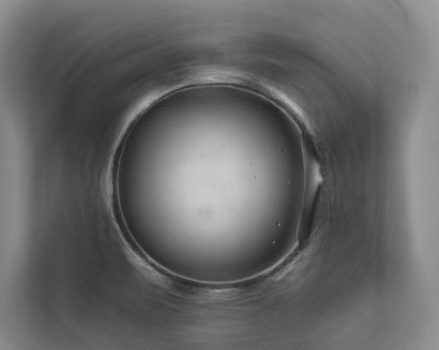 X0000112931471200908241250