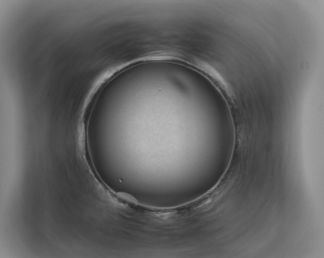 X0000112931472200908241250