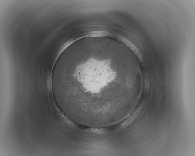 X0000112931473200908241250