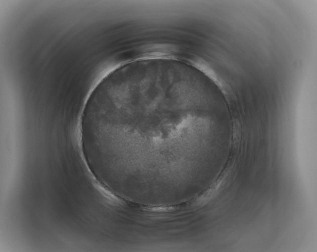 X0000112931474200908241250