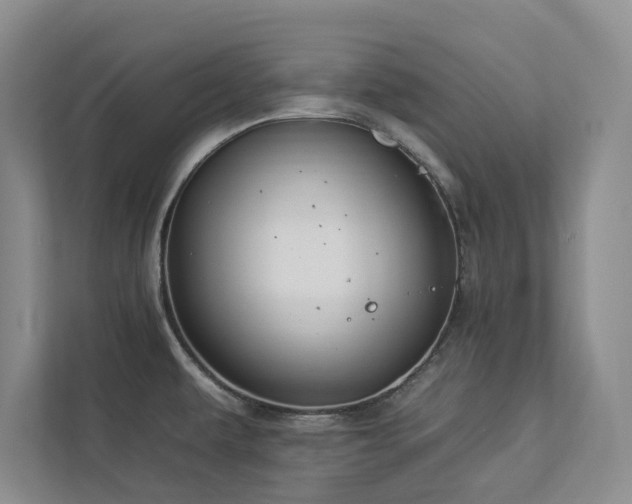 X0000112931479200908241250