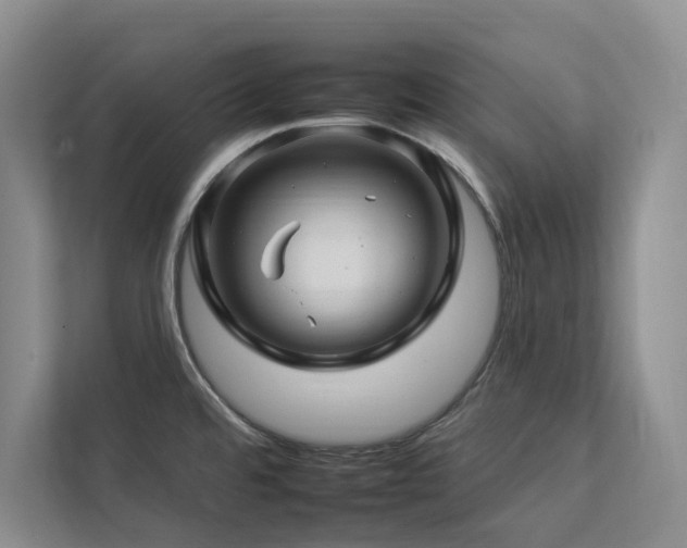 X0000112931480200908241250