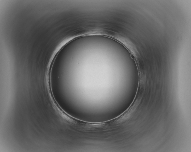 X0000112931486200908241250