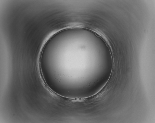 X0000112931488200908241250