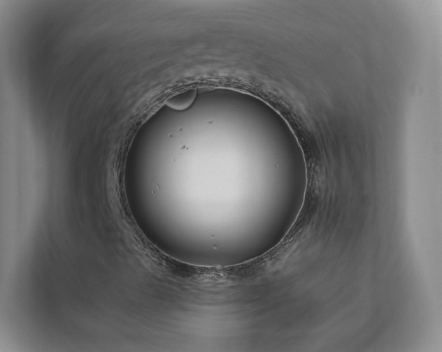X0000112931489200908241249