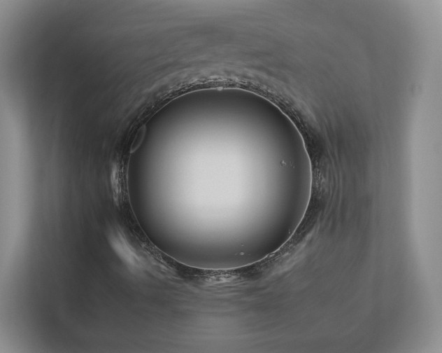 X0000112931490200908241249