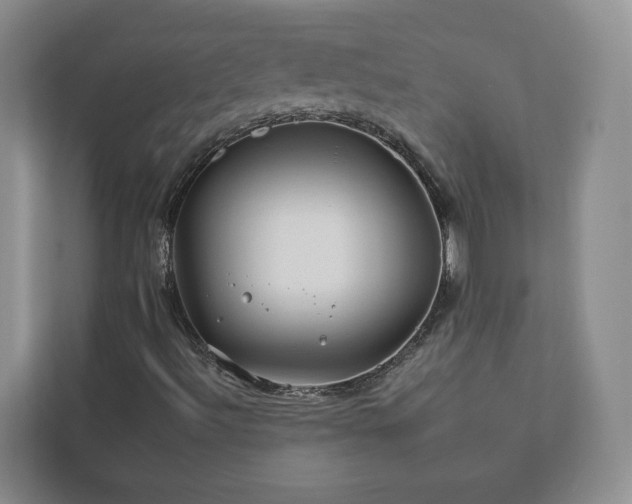 X0000112931492200908241249