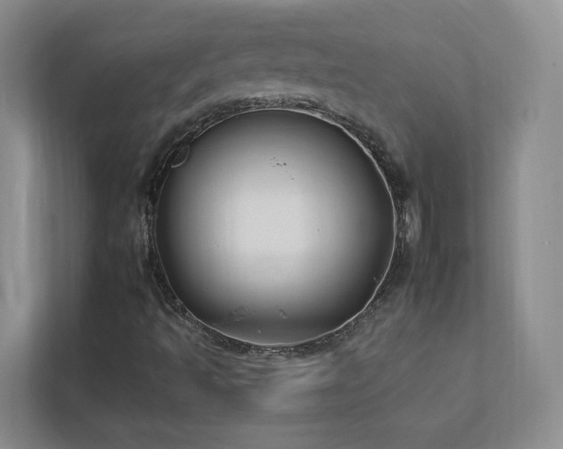 X0000112931493200908241249