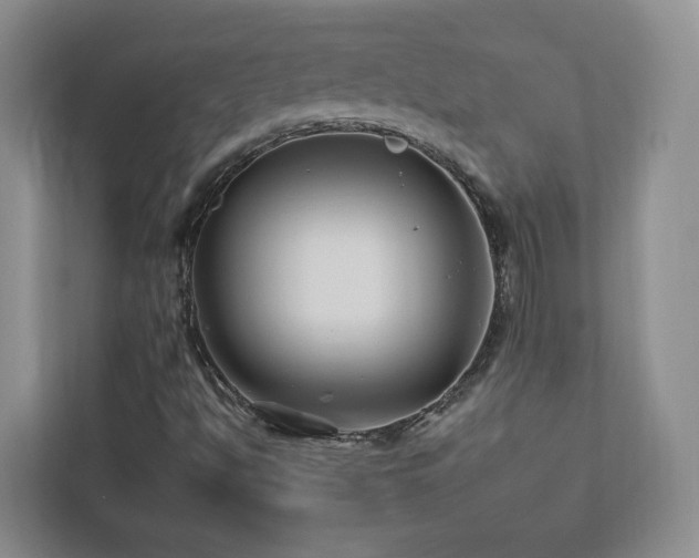 X0000112931494200908241249