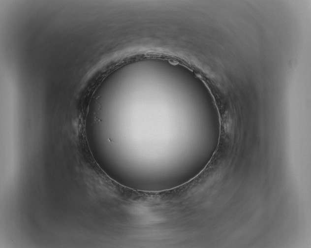 X0000112931495200908241249