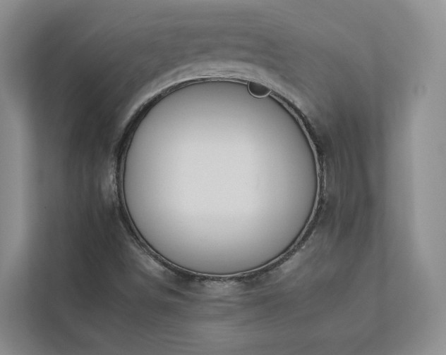 X0000112931498200908241249