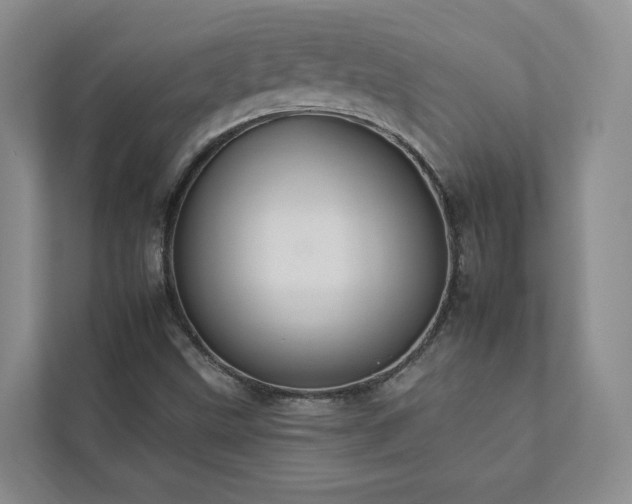 X0000112931499200908241249