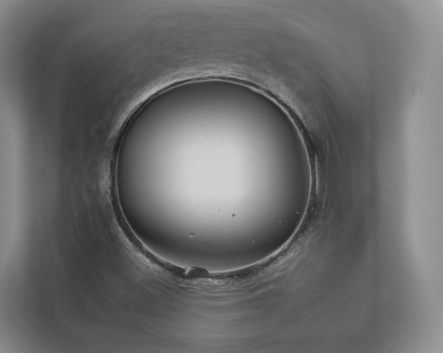 X0000112931500200908241249
