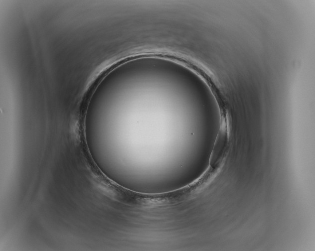 X0000112931501200908241249