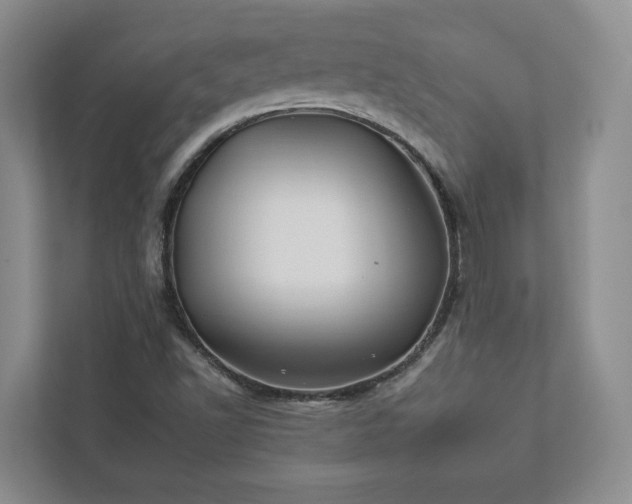 X0000112931502200908241249