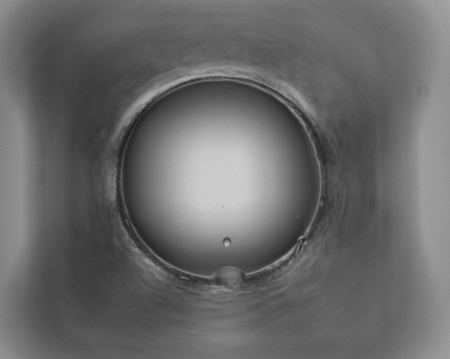X0000112931504200908241249