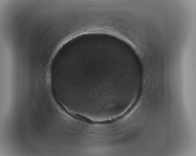 X0000112931506200908241249