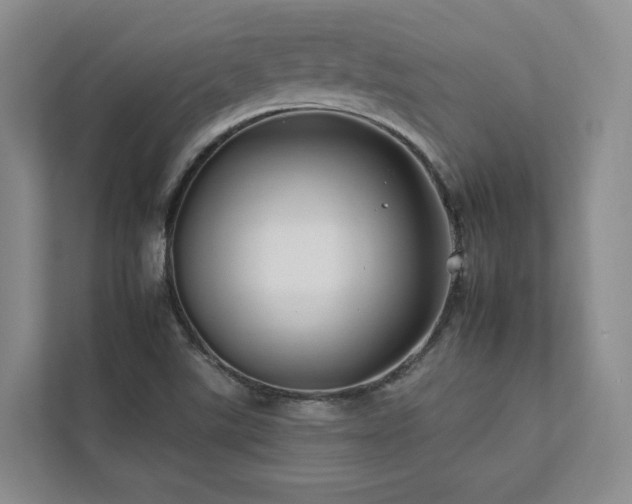 X0000112931507200908241249