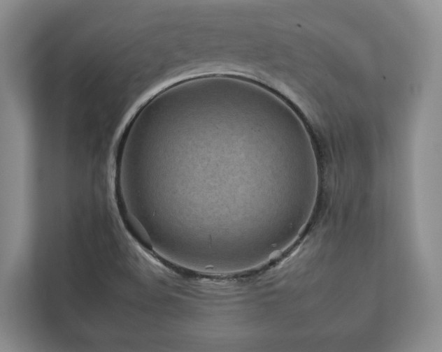 X0000112931508200908241249