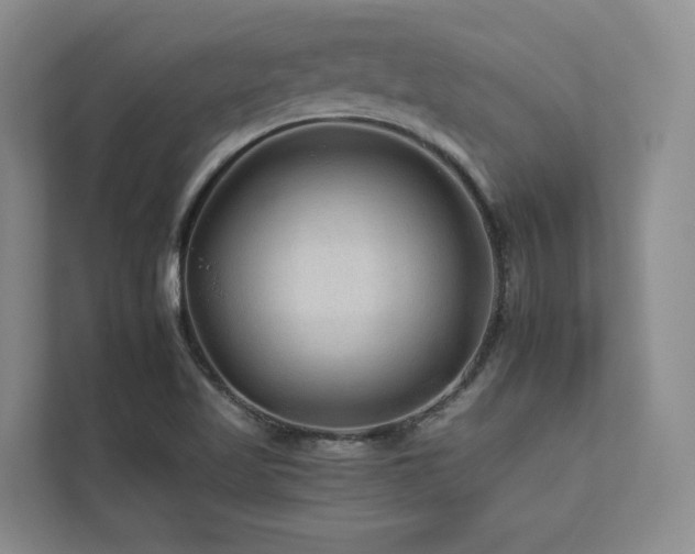 X0000112931509200908241249