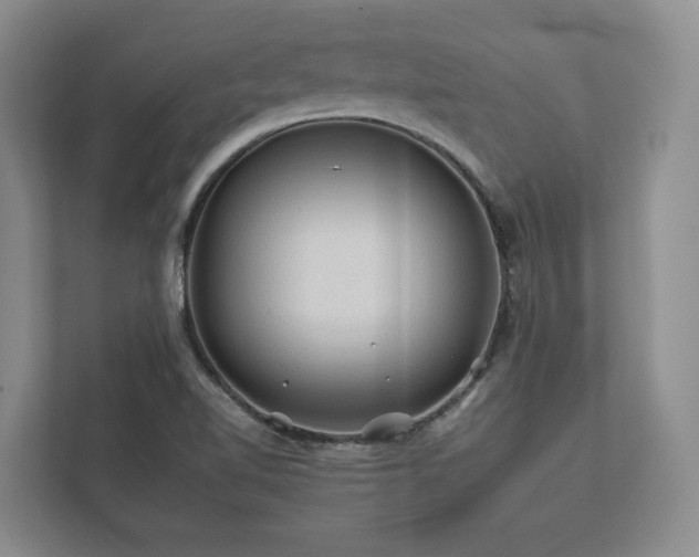 X0000112931510200908241249