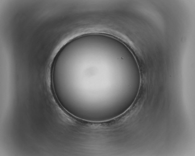 X0000112931512200908241249