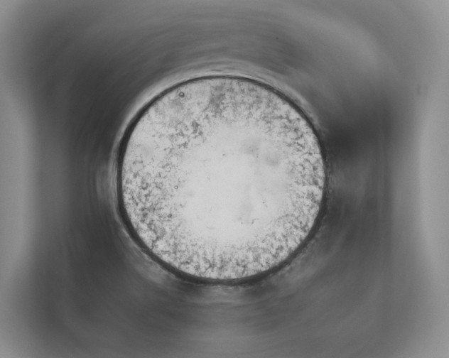 X0000112931514200908241249