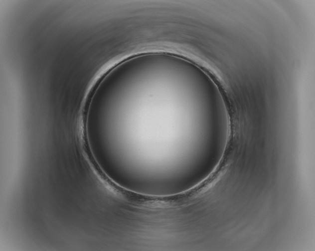 X0000112931517200908241250