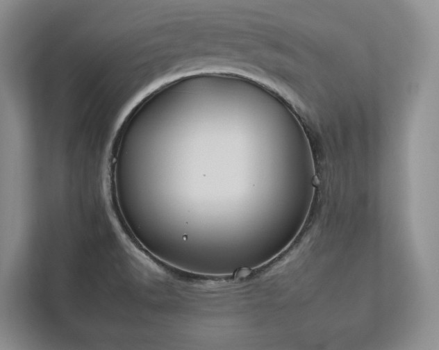 X0000112931518200908241250
