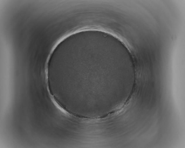 X0000112931519200908241250