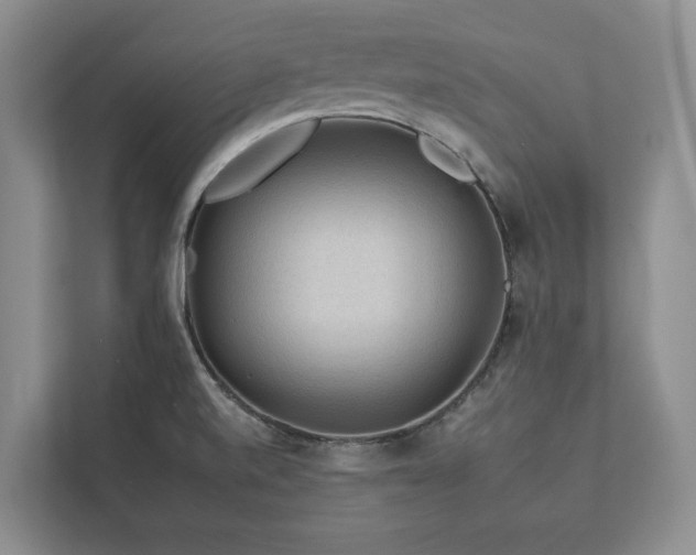 X0000112931520200908241250
