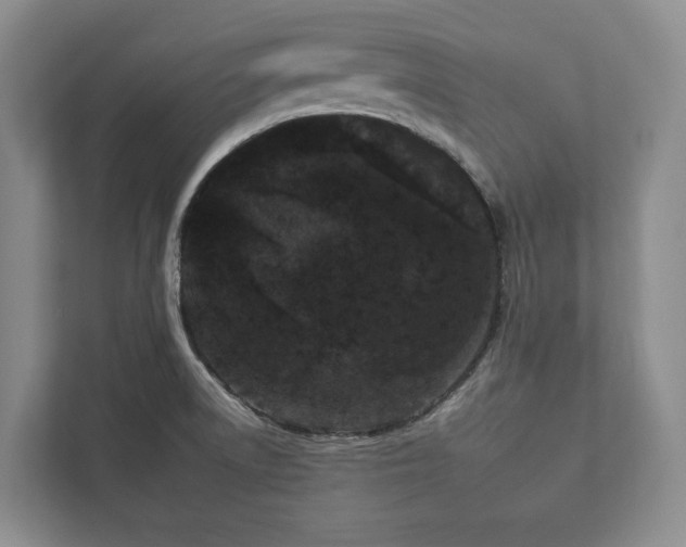 X0000112931522200908241250