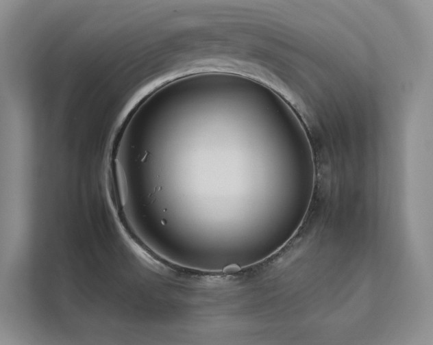 X0000112931523200908241250