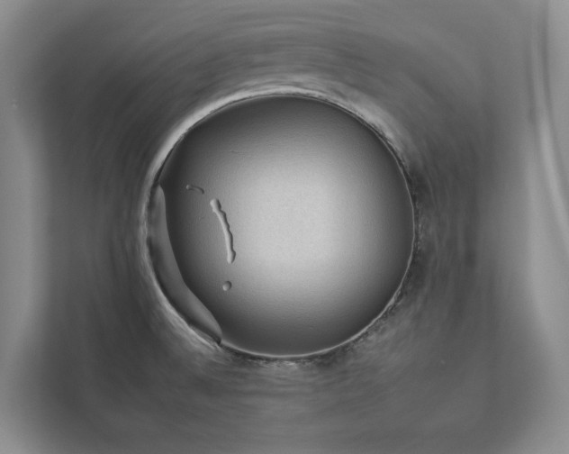 X0000112931524200908241250